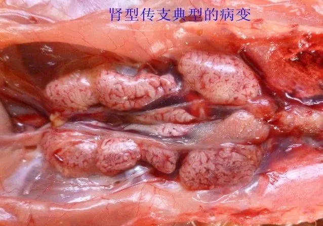 微信圖片_20250929093732.jpg