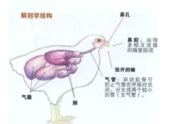 截圖20251024091512.png