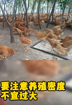 截圖20251030091628.png