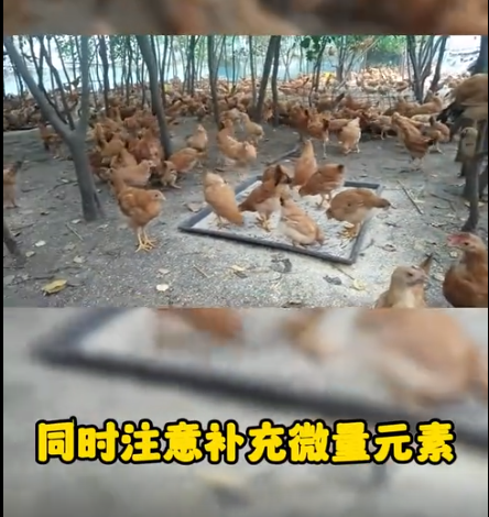截圖20251030092534.png