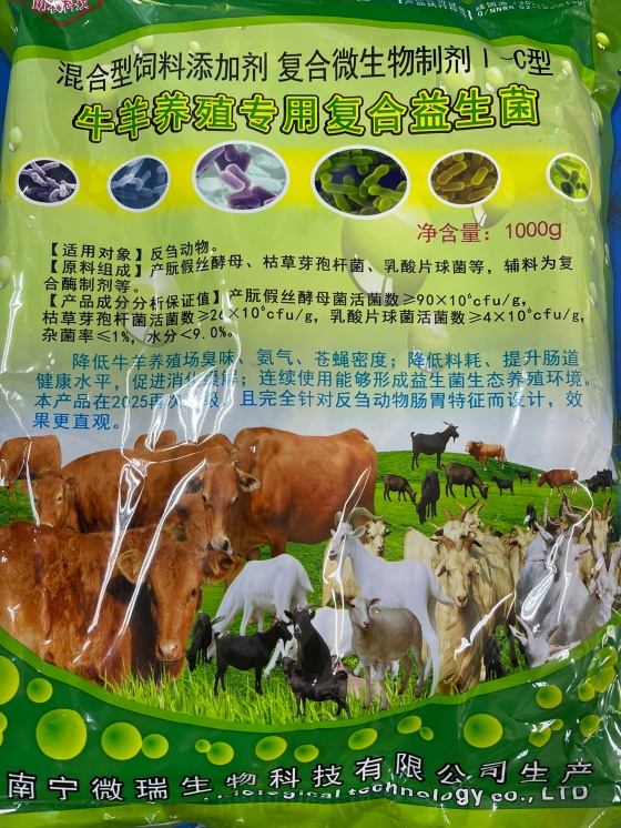 QQ圖片20251113153341.jpg
