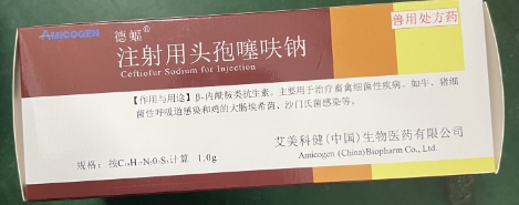 微信截圖_20251114092559.jpg