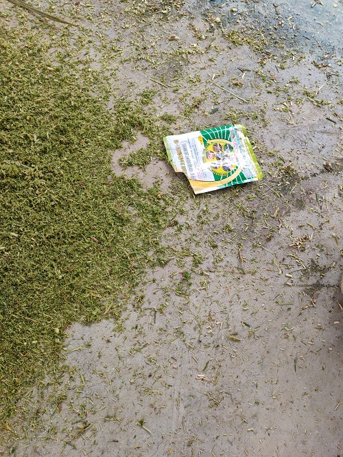 牧草6.jpg