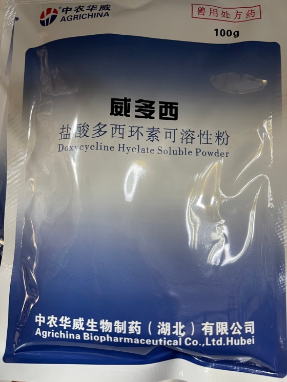 QQ圖片20251119103942.jpg