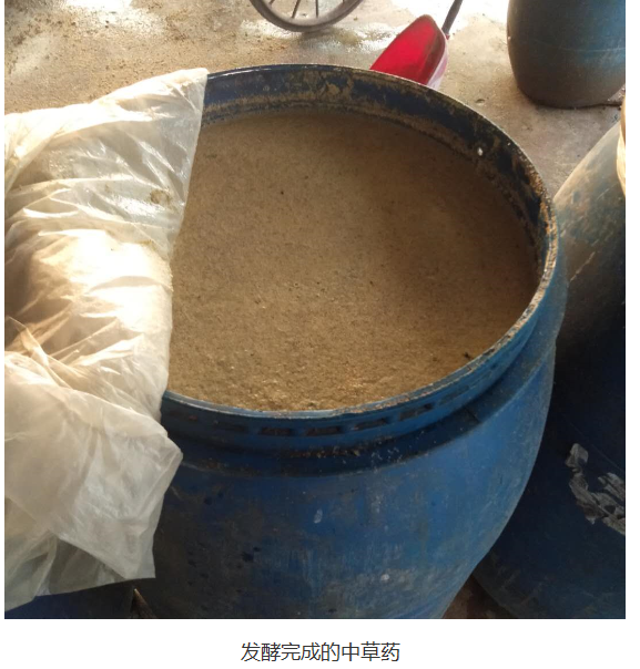 截圖20251205094536.png