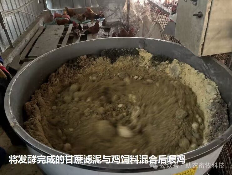 QQ圖片20240229161148.jpg