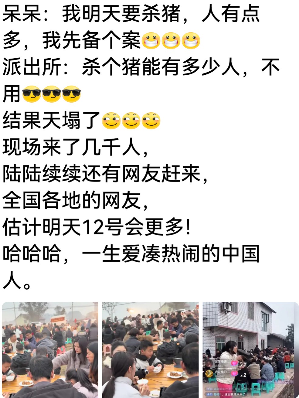 四川吳川的按豬活動.jpg