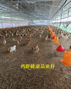 截圖20260114090911.png
