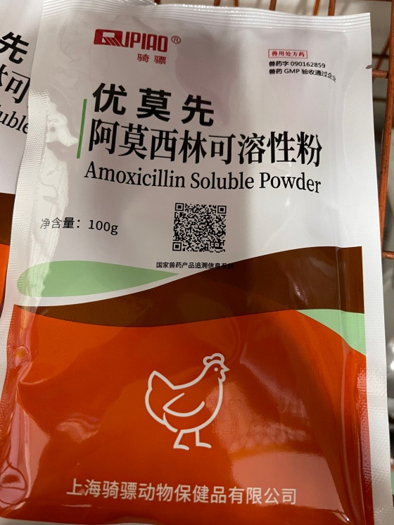 QQ圖片20260115111805.jpg
