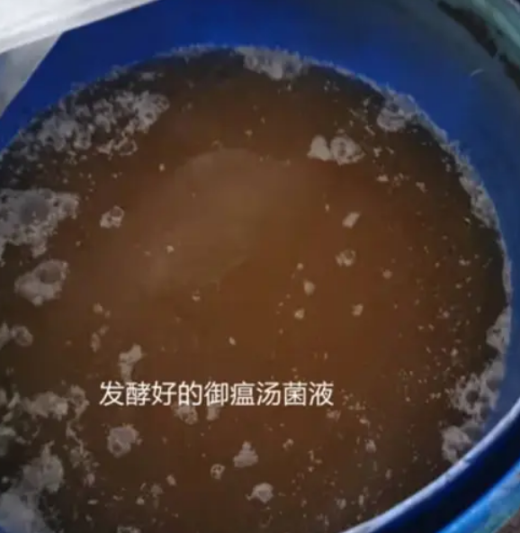 bc8518dc2e38eb244c70b011c71a1342_720.png