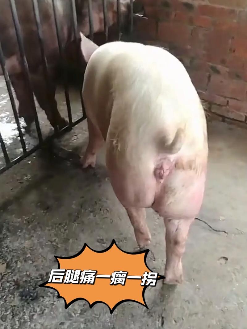微信圖片_20260128092518.jpg
