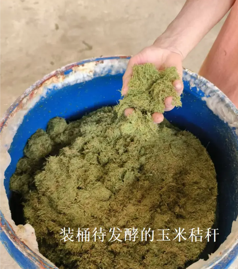 截圖20260205100809.png