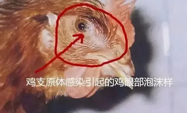 微信圖片_20260210093244.jpg