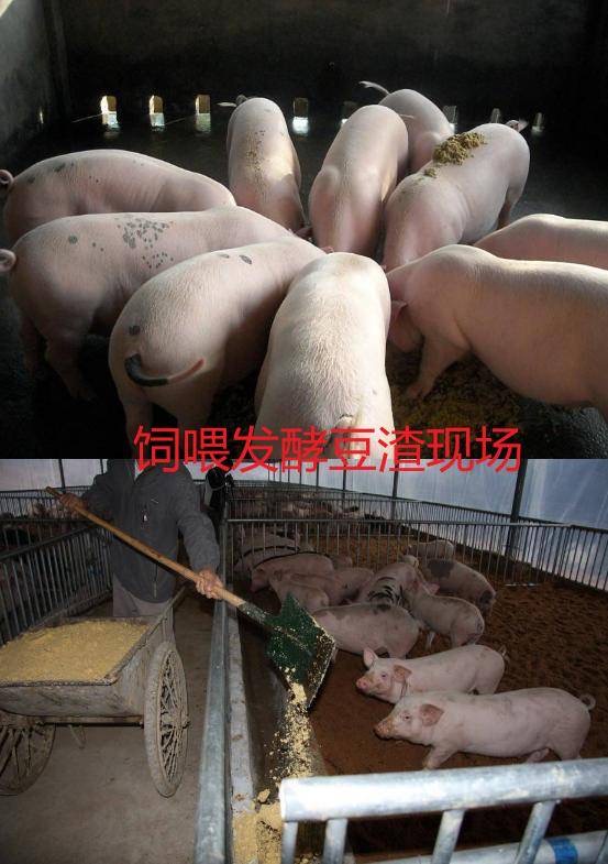 微信圖片_20260226154310.jpg