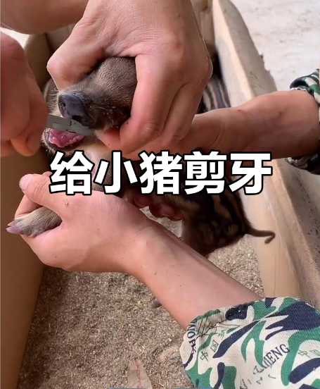 截圖20260303094154.png