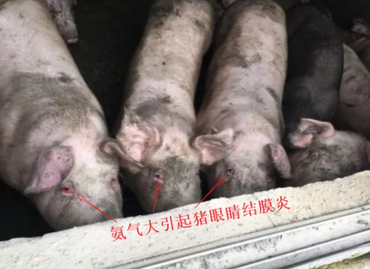 微信截圖_20260303104753.jpg