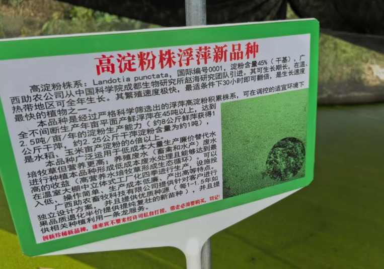 6d56e49a4587a420a0eeb534cee37e18_17726102946142118.png