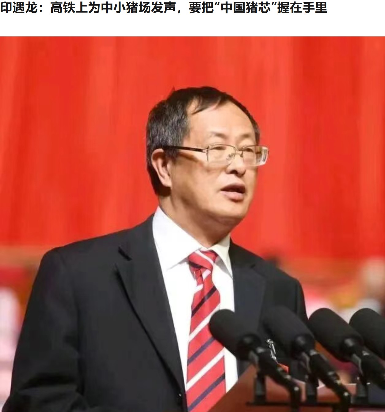 印遇龍：高鐵上為中小豬場發(fā)聲，要把“中國豬芯”握在手里.jpg