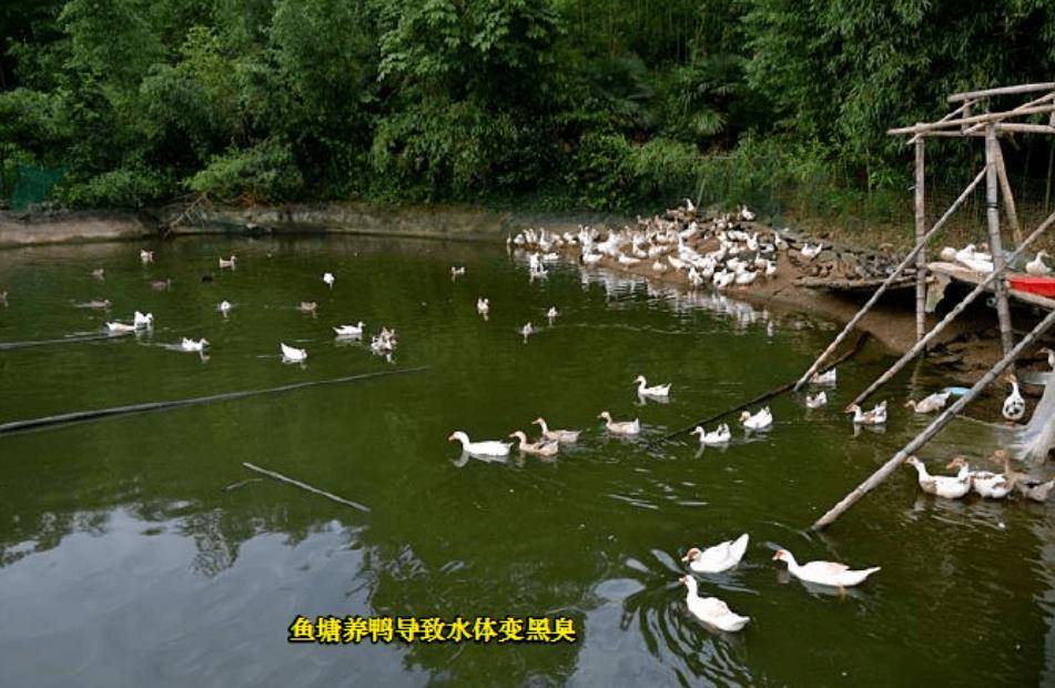 微信圖片_20260311100646.jpg