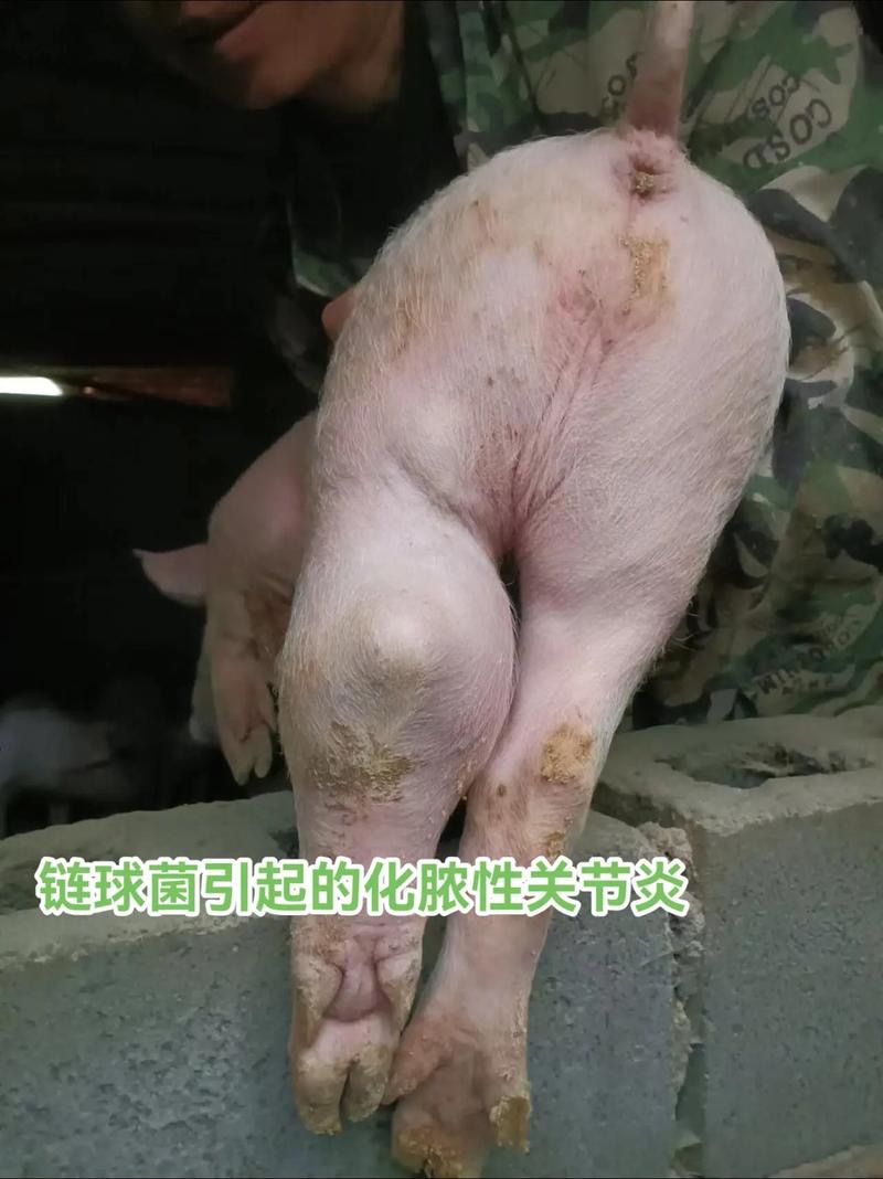 微信圖片_20260318091906.jpg