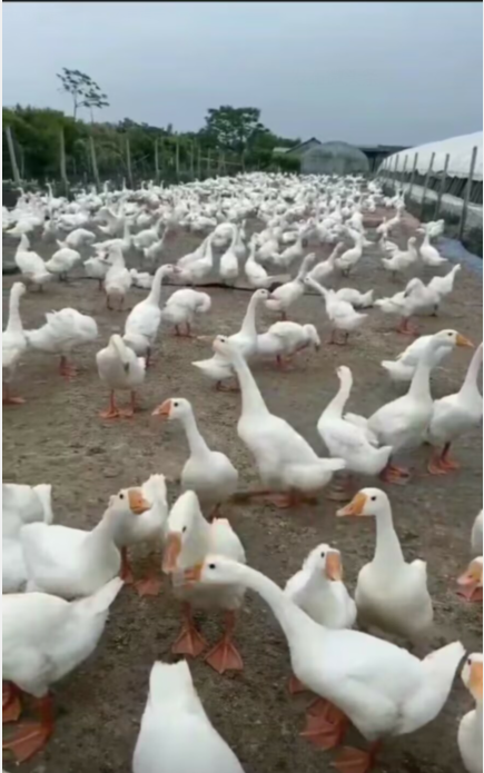 QQ圖片20230309170956.png