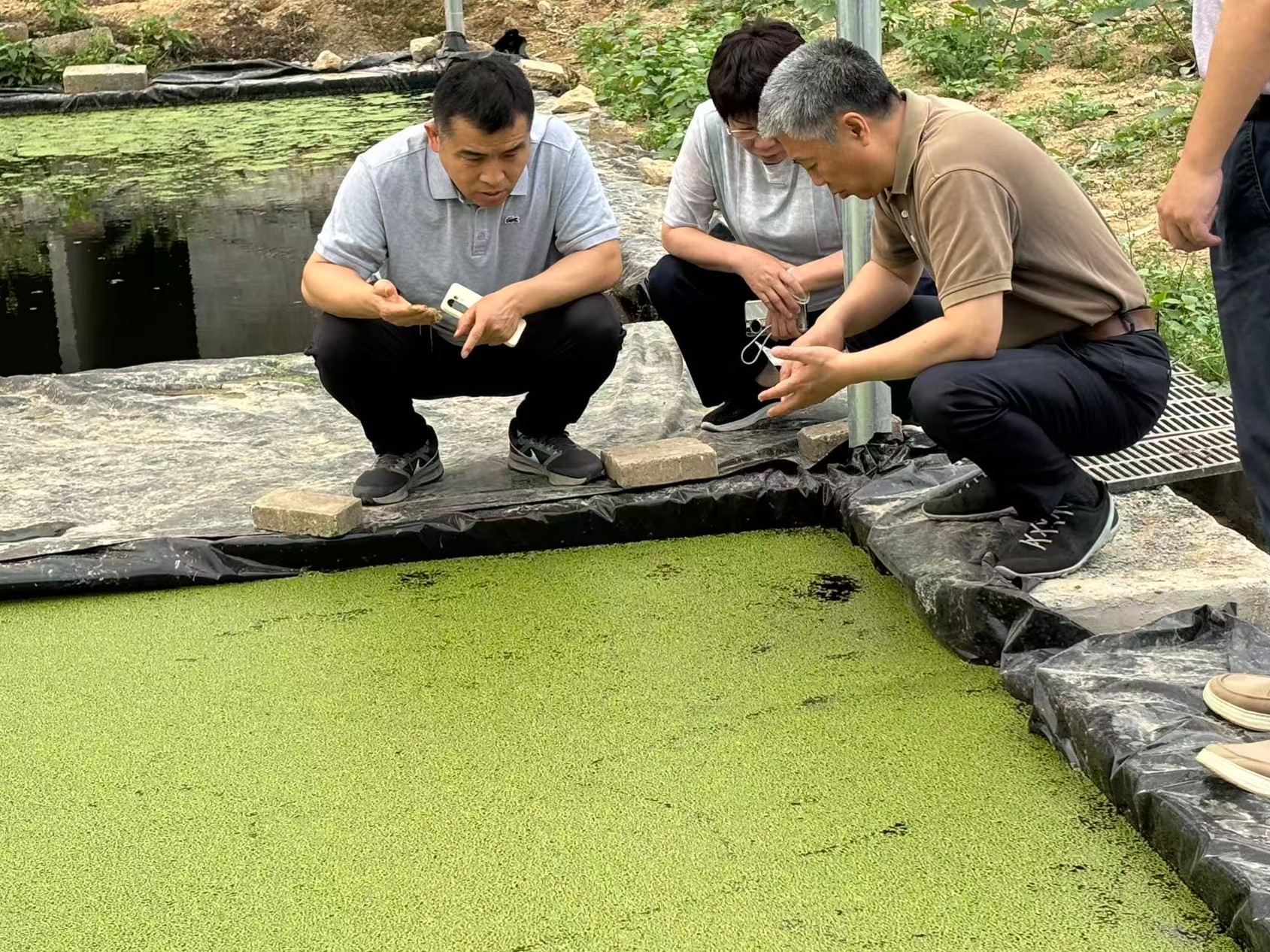 趙海老師蒞臨廣西助農(nóng)生態(tài)養(yǎng)殖基地調(diào)研3.jpg