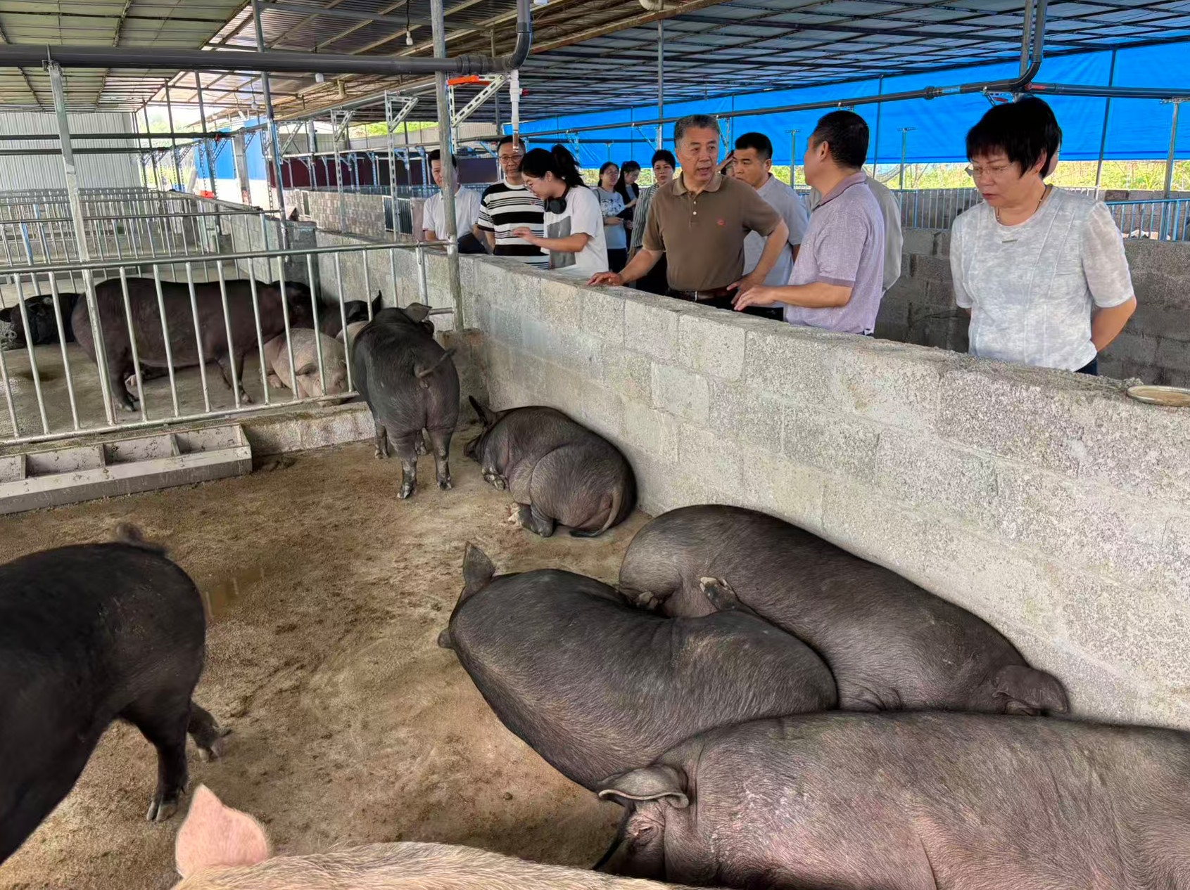 趙海老師蒞臨廣西助農(nóng)生態(tài)養(yǎng)殖基地調(diào)研8.jpg