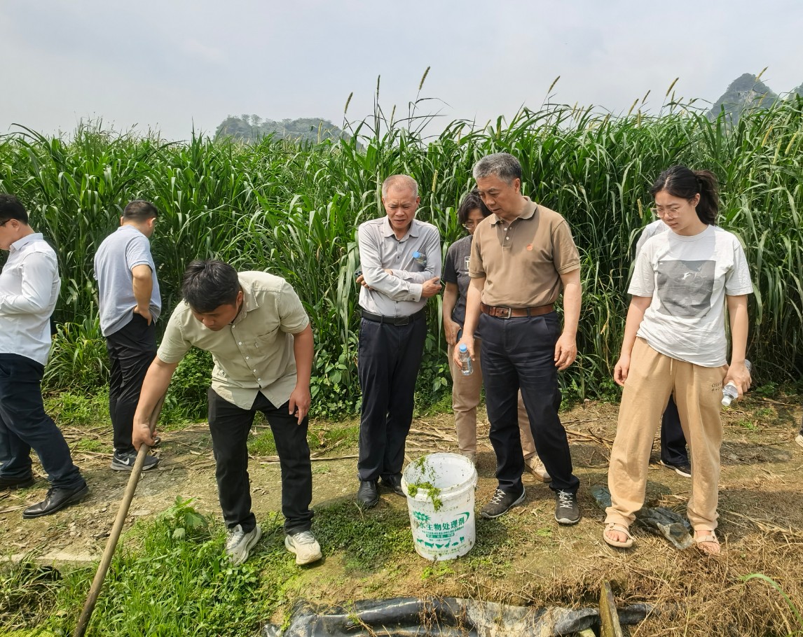 趙海老師蒞臨廣西助農(nóng)生態(tài)養(yǎng)殖基地調(diào)研10.jpg