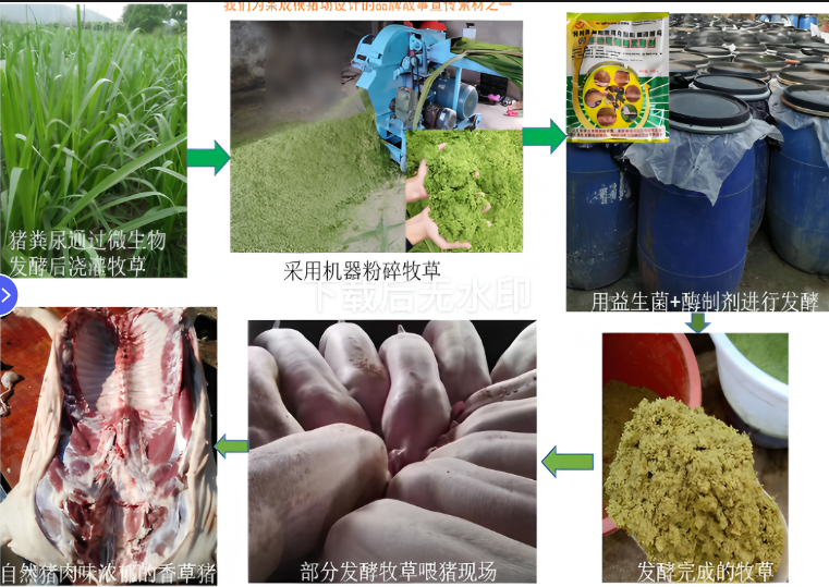 截圖20260327104623.png