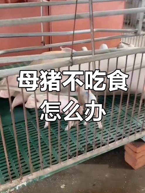 微信截圖_20260401090955.jpg