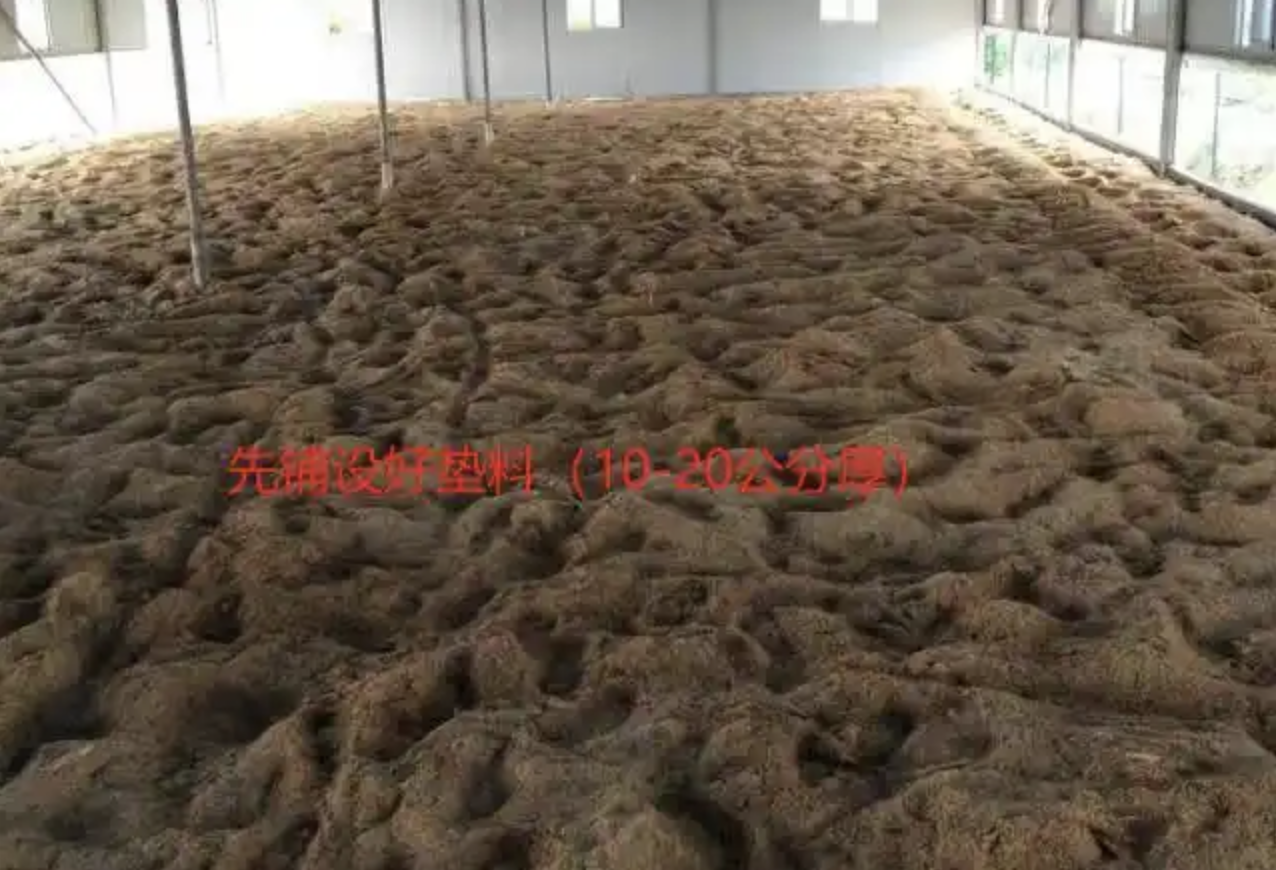 截屏2026-04-08 15.19.28.png