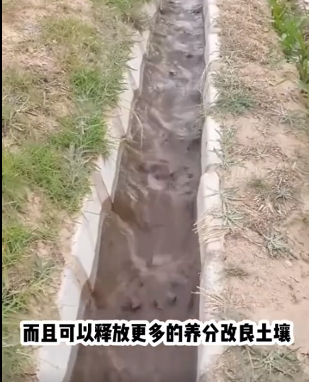 截圖20260408155349.png