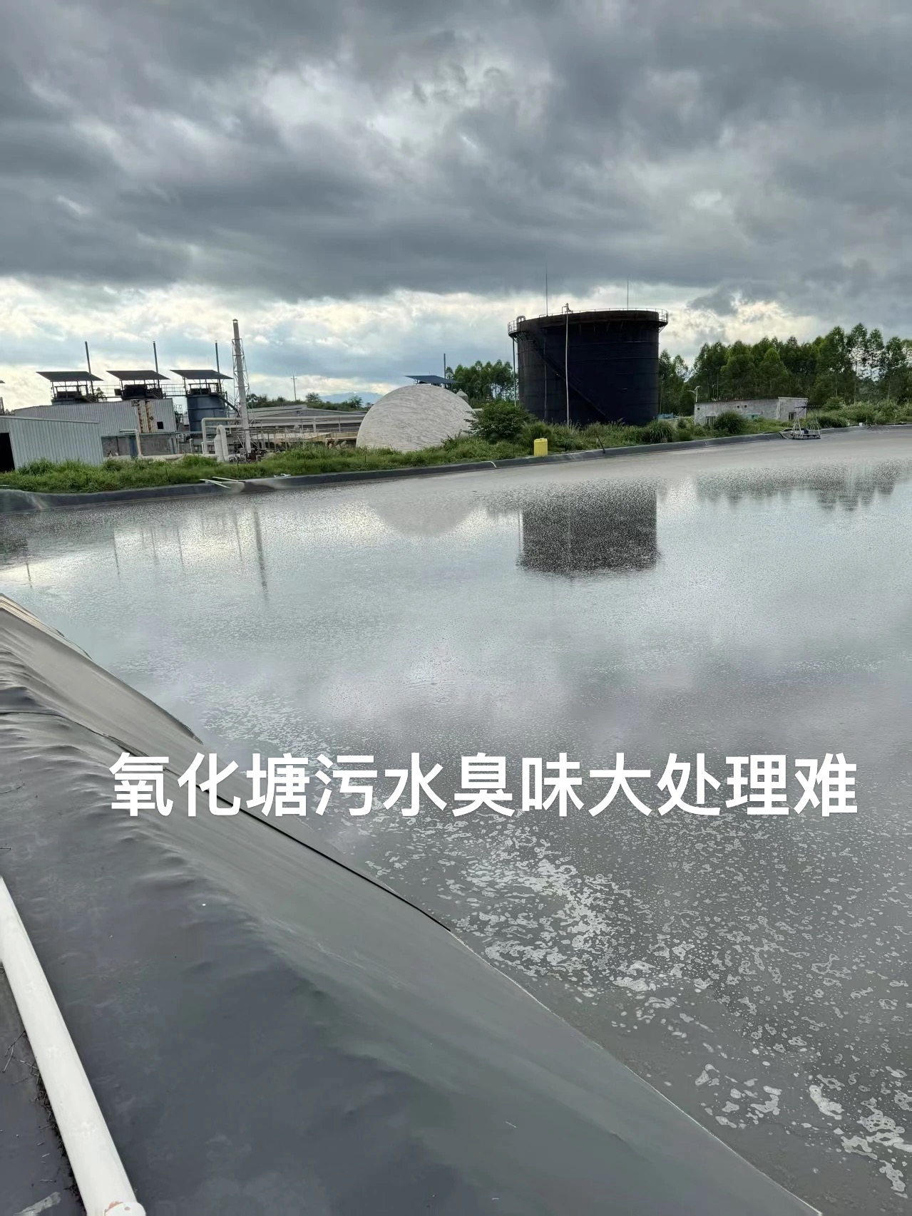 微信圖片_20260413103900.jpg