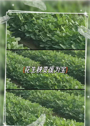 截圖20260416094849.png
