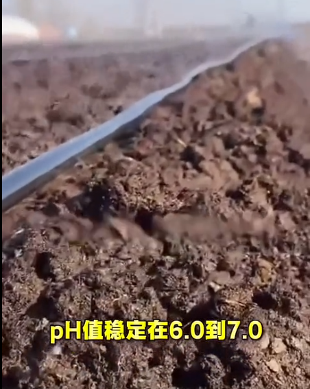 截圖20260422094948.png