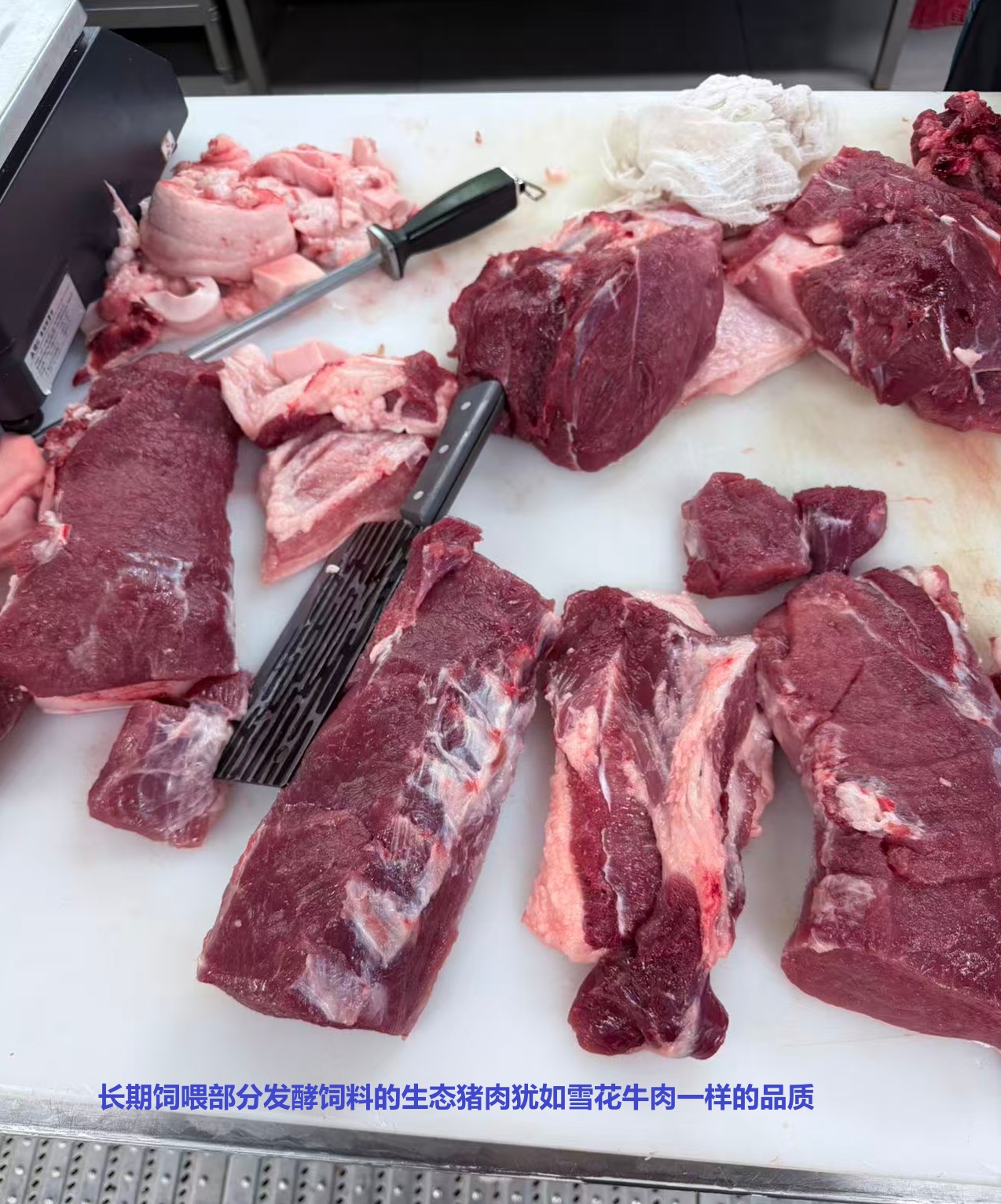 長期飼喂部分發(fā)酵飼料的生態(tài)豬肉猶如雪花牛肉一樣的品質(zhì).jpg