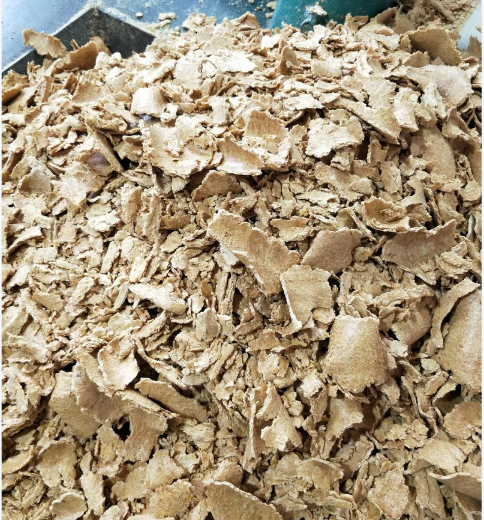 截圖20260424092512.png