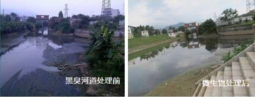 黑臭河溝治理前后1.jpg