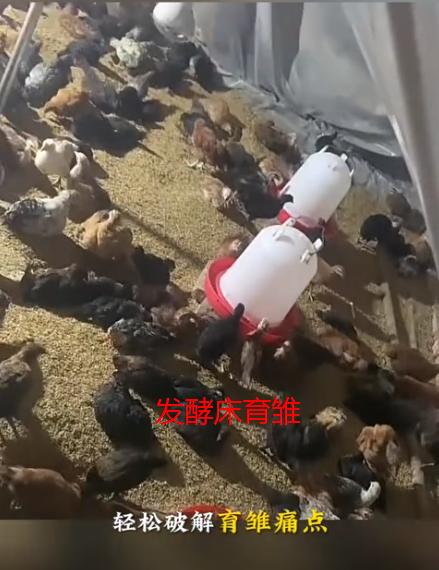 截圖20260826095059.png