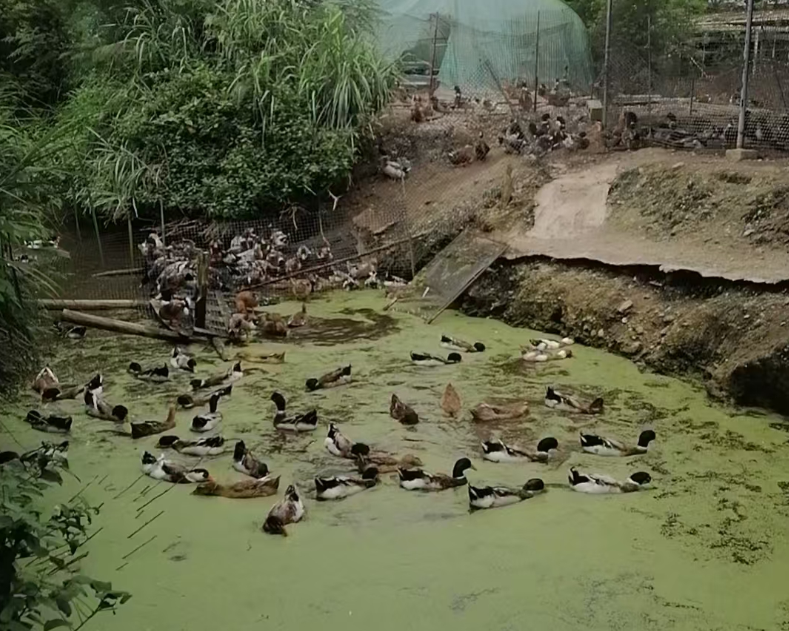 截圖20260826132421.png