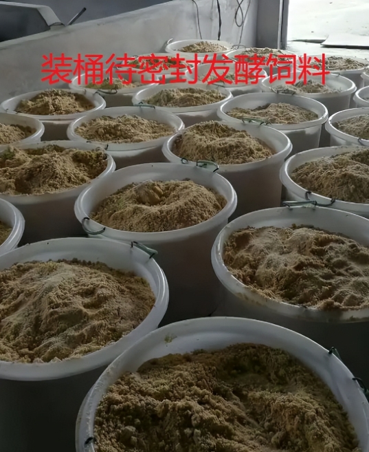 微信截圖_20260828103324.jpg