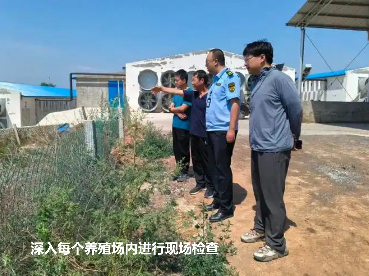 深入每個養(yǎng)殖場內進行現(xiàn)場檢查.jpg