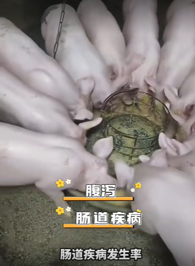 QQ瀏覽器截圖20260903223424.png