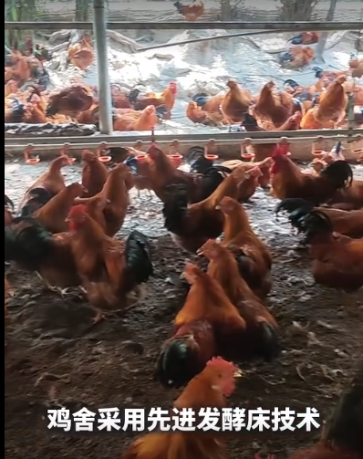 QQ瀏覽器截圖20260909224333.png