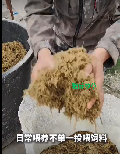 QQ瀏覽器截圖20260909225129.png