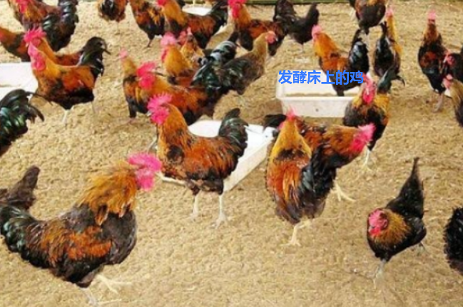 QQ瀏覽器截圖20260909225829.png