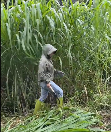 QQ瀏覽器截圖20260929214641.png